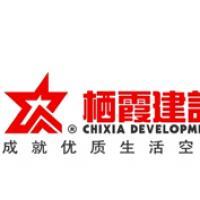 棲霞建設(shè)董事會決議公告 選舉江勁松為董事長、總裁及投資興辦實(shí)業(yè)